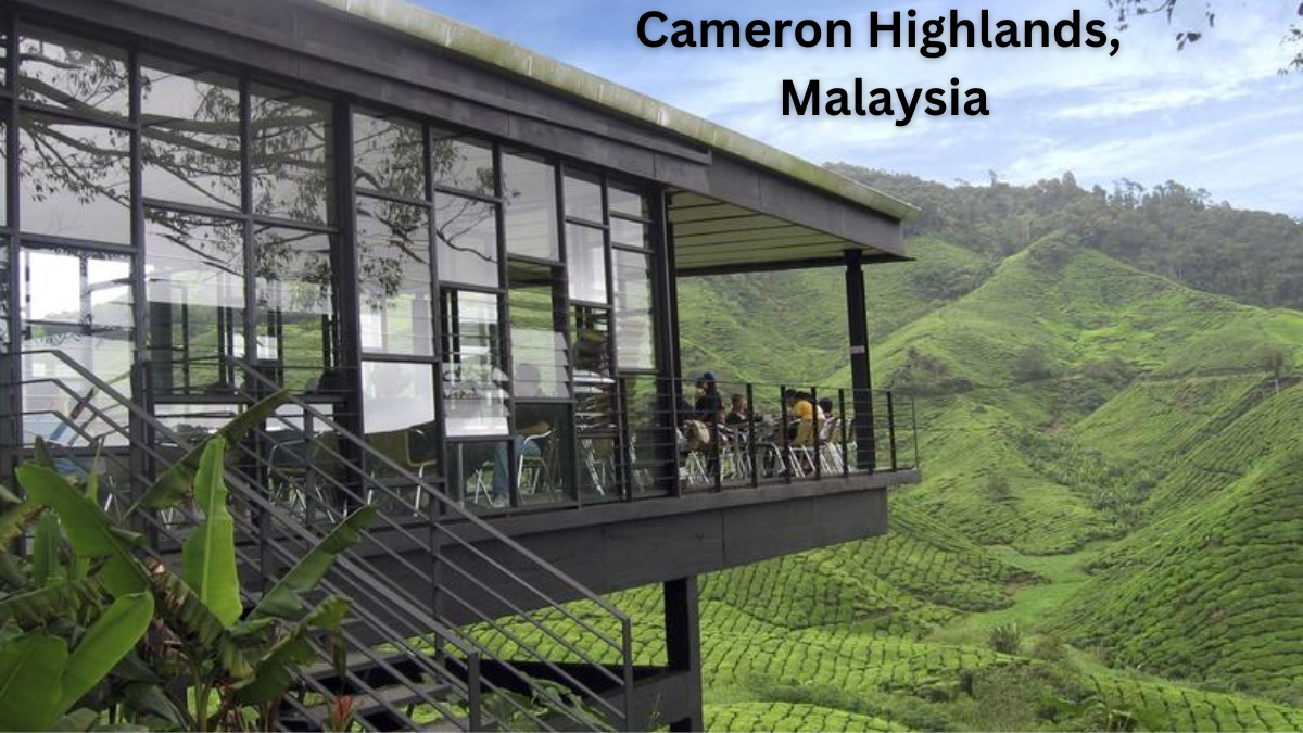  Exploring Cameron Highlands-Malaysia