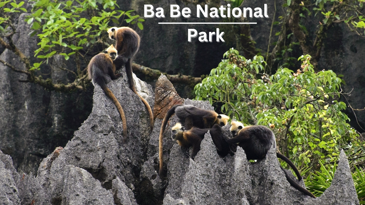 Ba Be National Park Vietnam