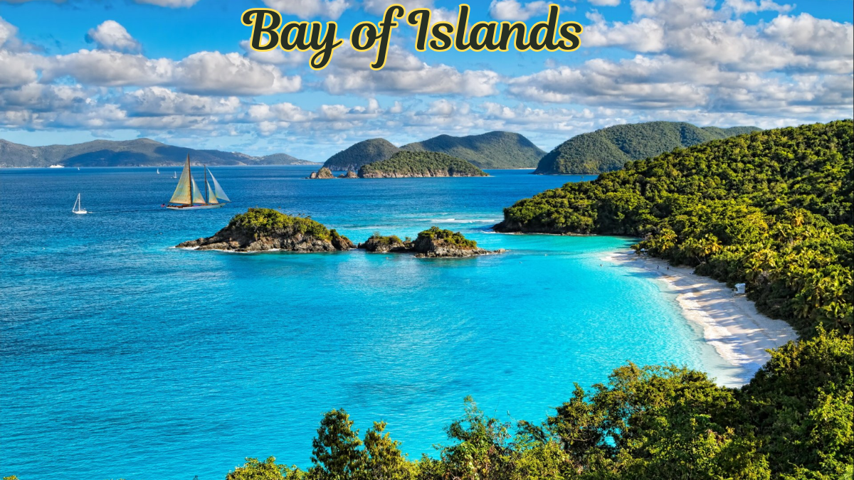 Discover the Bay of Islands: A Scenic Paradise