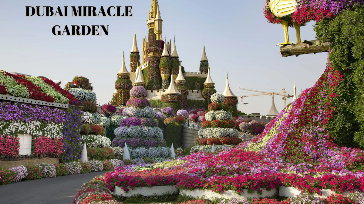 Explore the World’s Largest Flower Garden in Dubai