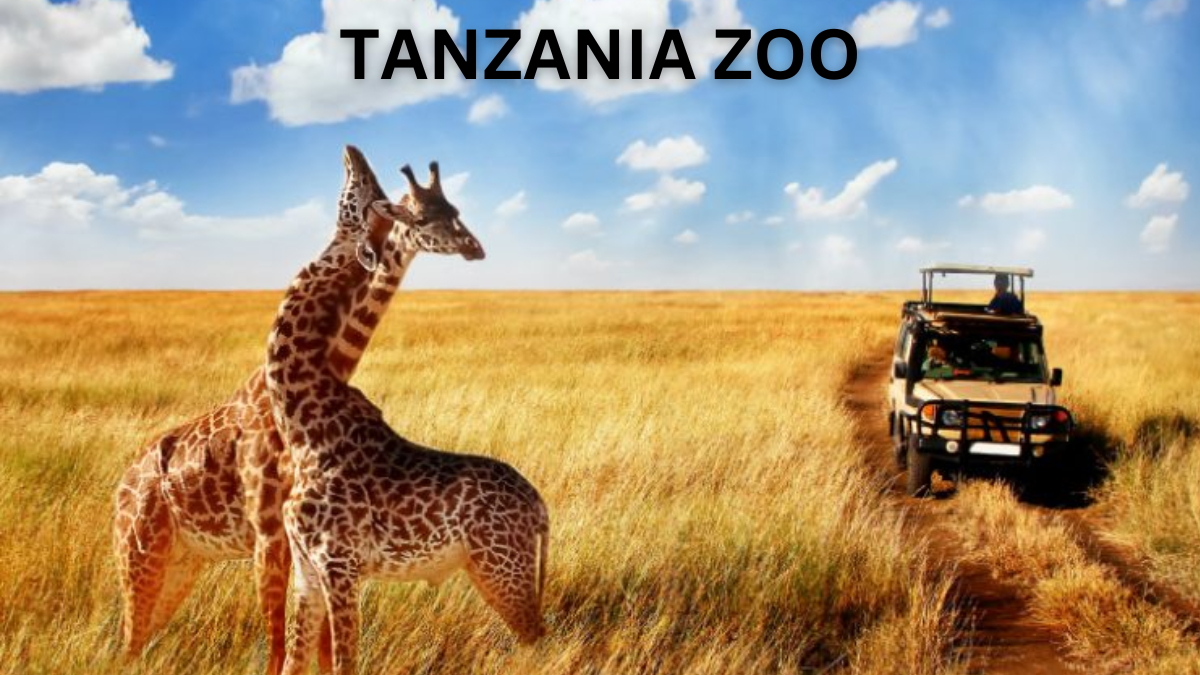 Explore Exotic Wildlife at Tanzania's Top Zoos