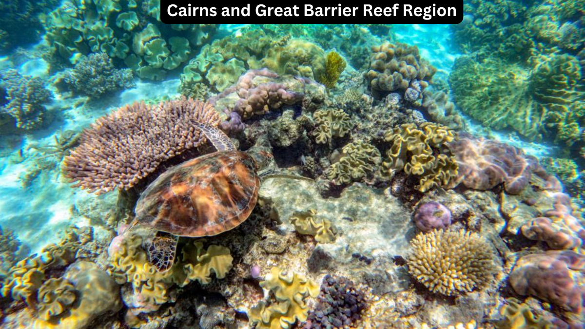 Unforgettable Adventures in Cairns and the Reef